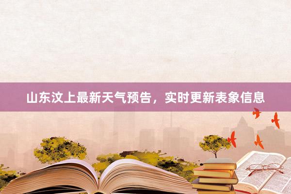 山东汶上最新天气预告，实时更新表象信息